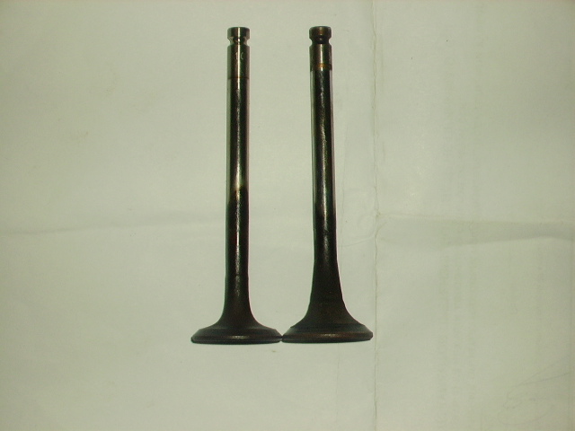PICT0156.JPG