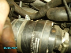PICT1217.JPG