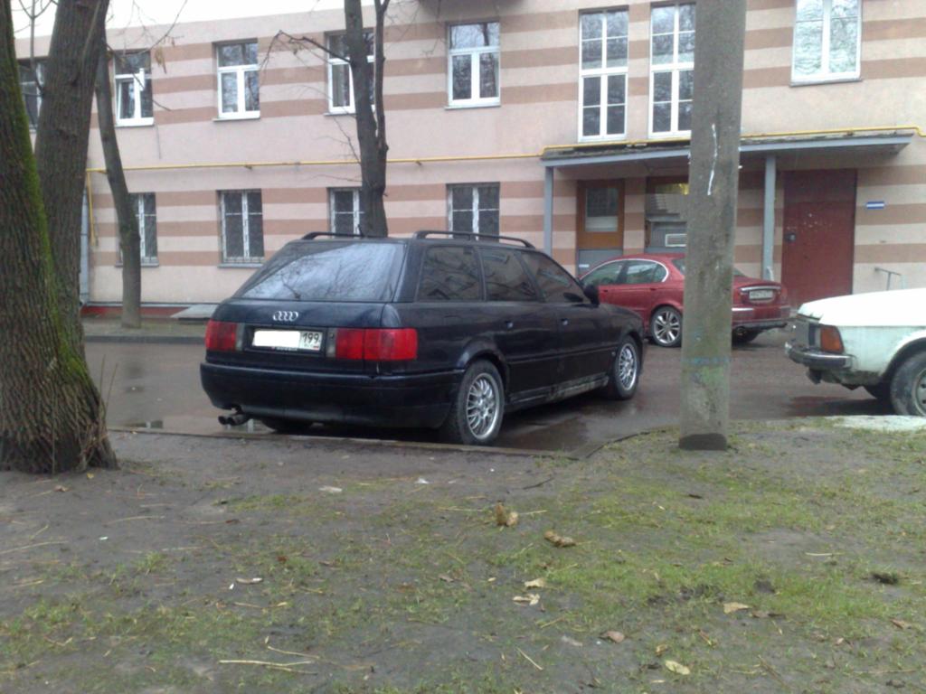 113_1.jpg