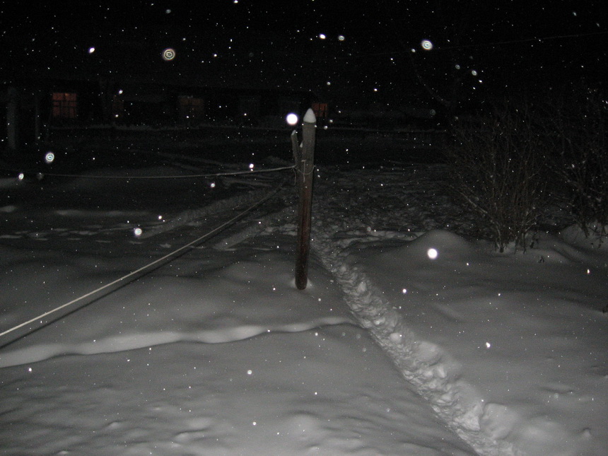 IMG1738.jpg
