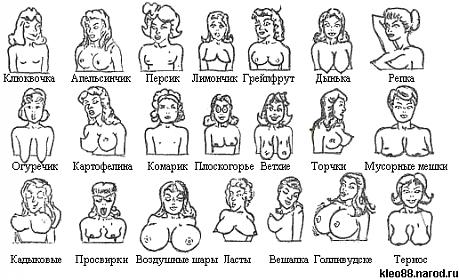 сисьге.jpg