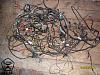 be0bb48s-480.jpg