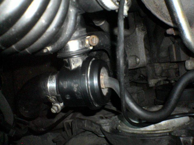DSC01021_resize.JPG