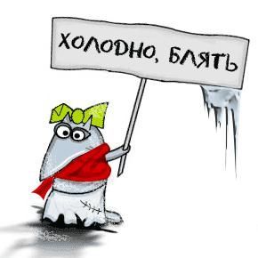 холодно, бля!.jpg