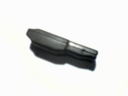 DSC00199.jpg
