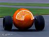 808253_0389_625x1000.jpg
