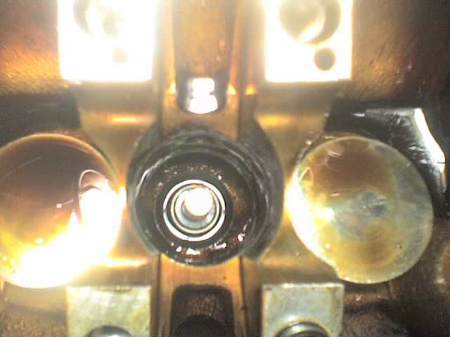 06-01-10_1535.jpg