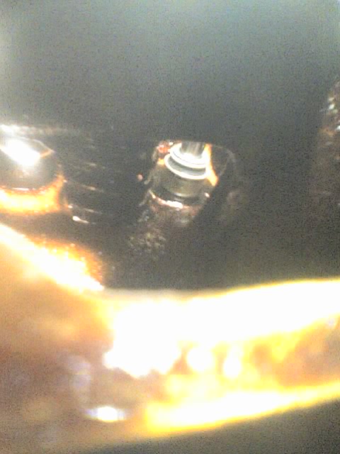 06-01-10_1534.jpg