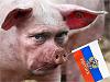 &#1089;&#1074;&#1080;.jpg