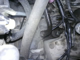 DSC01117.jpg