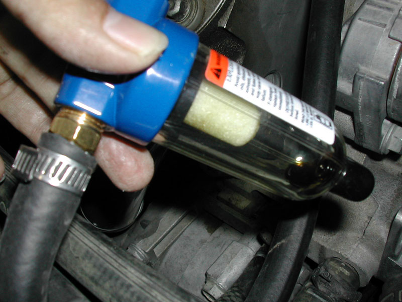 pcv10.jpg
