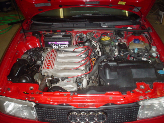 23003170002_large.jpg