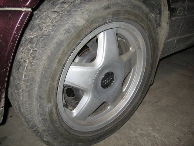 IMG0159.jpg