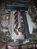 2fc46e8s-480.jpg