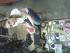 IMG0326.jpg
