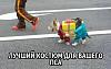 nbCh1ENLGp0.jpg