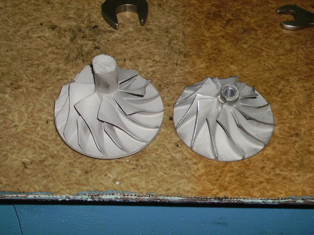 PICT1631.JPG