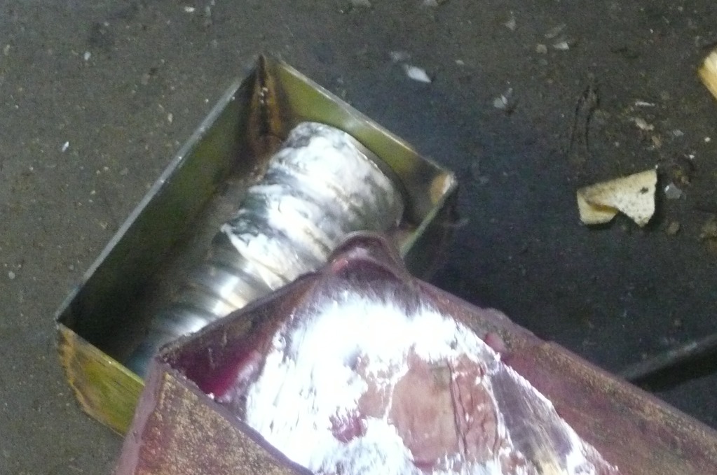 P1050781.JPG