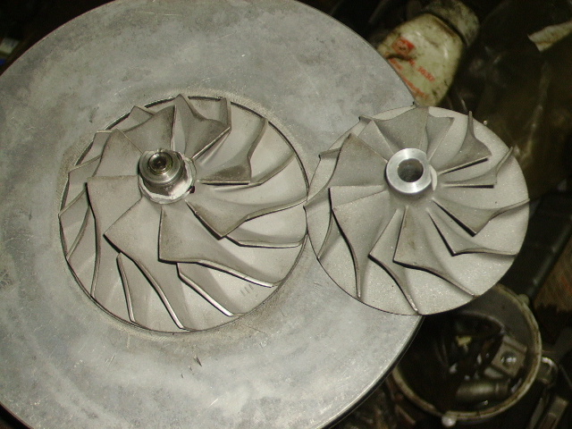 PICT1635.JPG