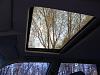 DSC08018.JPG