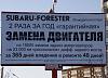 Anti-forester.jpg
