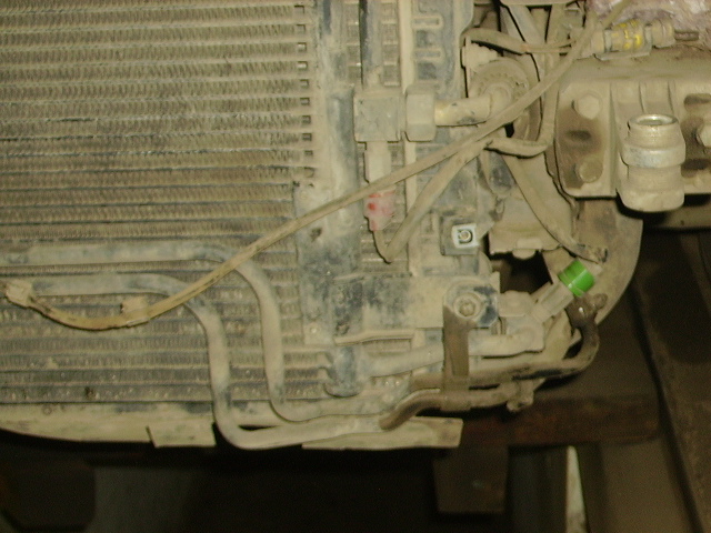 PICT1724.JPG