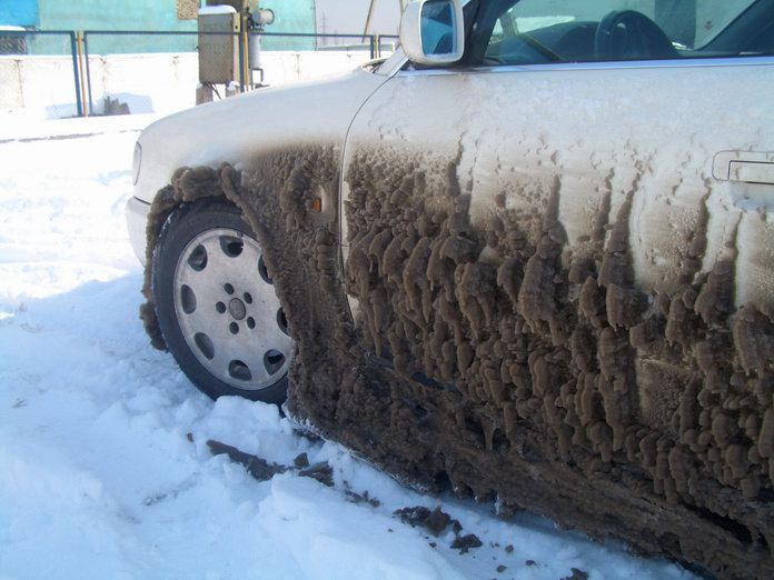 и на машинах растут грибы ....jpg