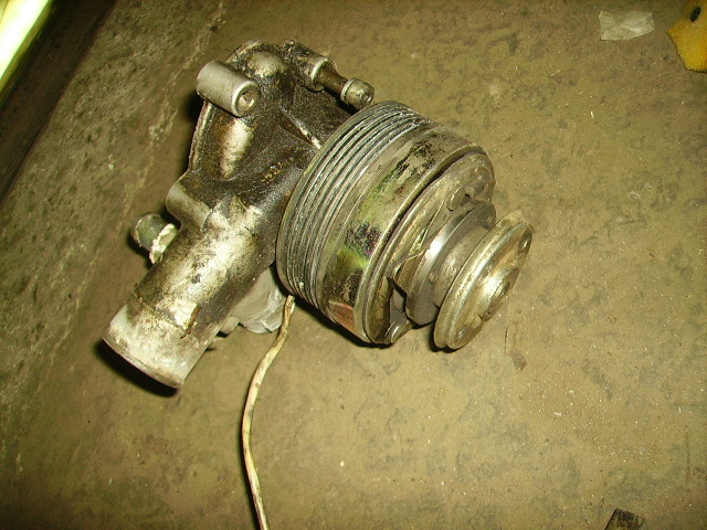 PICT1745.JPG