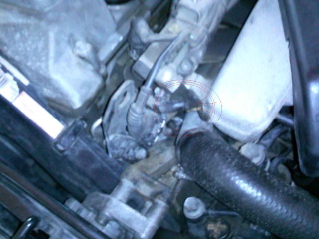 IMG1121.JPG