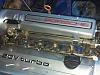 20130413_202001-1.jpg