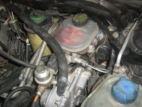 IMG_2901_resize.jpg