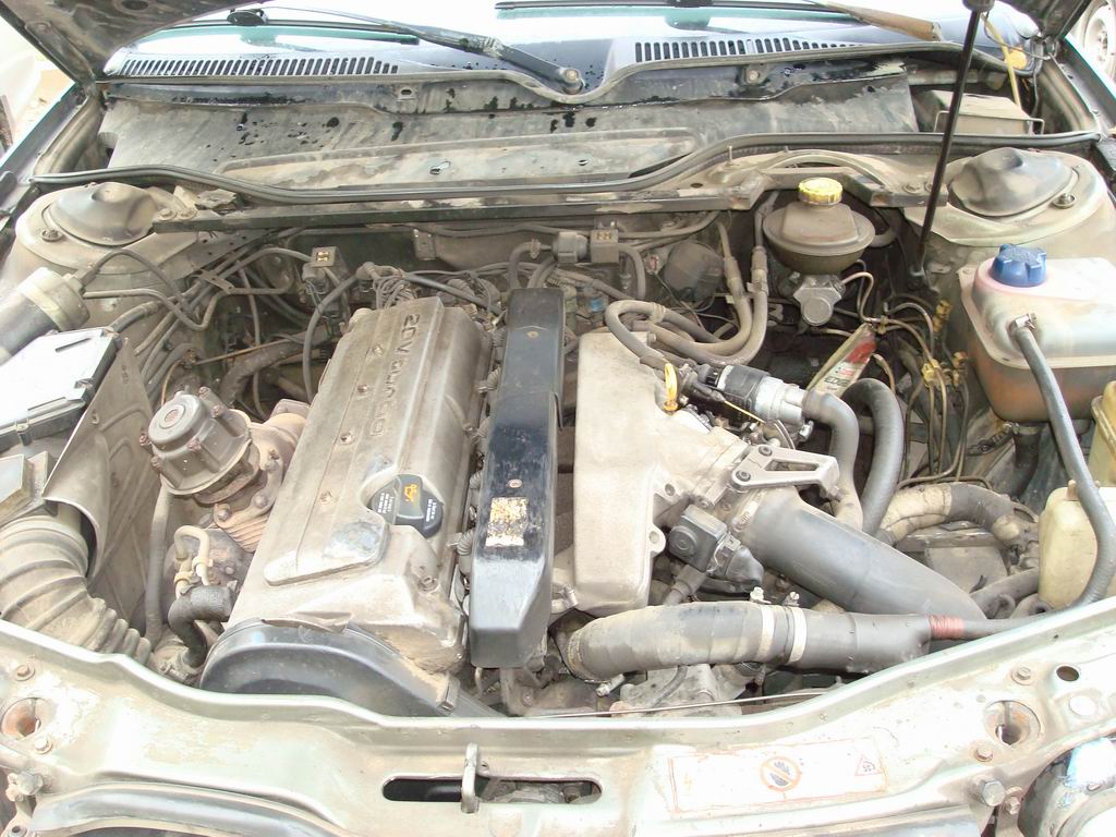DSC02213.JPG
