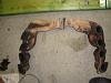 DSC08495.JPG