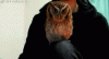 doc229192066_280574853.gif