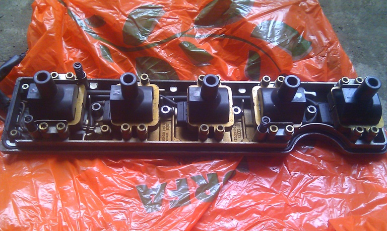 IMAG0467.jpg