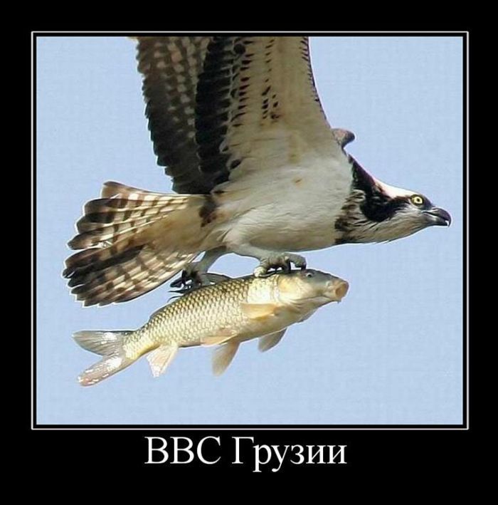 demotivators_080.jpg