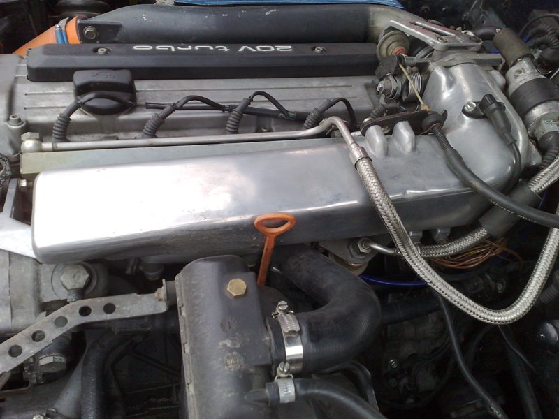 10042009403.jpg