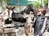 DSCN5404.JPG