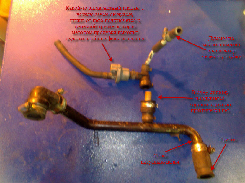 29112010091.jpg