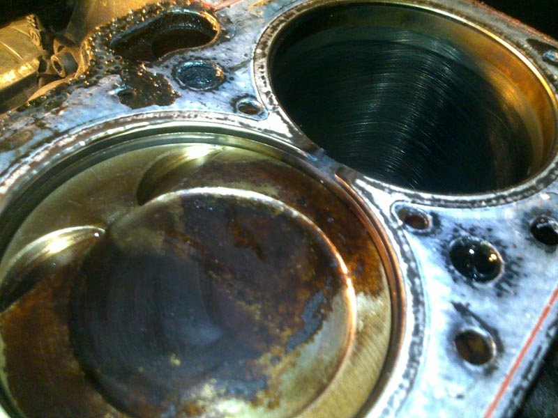 03122010391.jpg