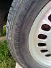 IMG_20140627_151646.jpg