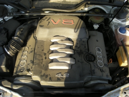 DSCN8457.JPG