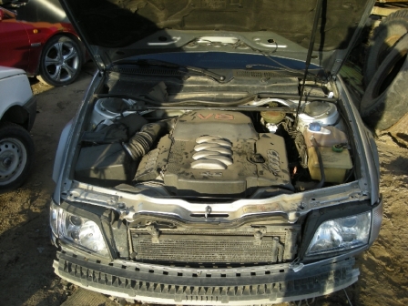 DSCN8459.JPG