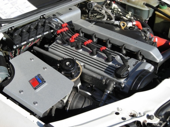 SteveYoungNowPostosEngineBay.jpg