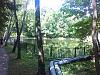 IMG_20140723_162324.jpg