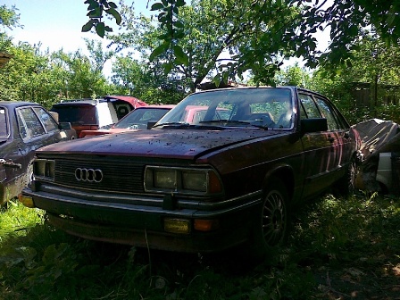 05062010051.jpg