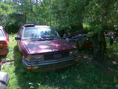 05062010050.jpg