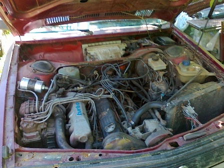 05062010052.jpg