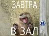 &#1074;&#1099;&#1076;&#1088;&#1072;.jpg