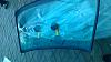 IMG-20140830-WA0026.jpeg